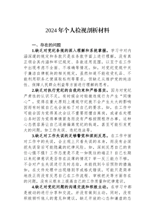 2024年个人检视剖析材料.docx