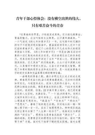 青年干部心得体会：没有横空出世的伟大，只有艰苦奋斗的青春.docx