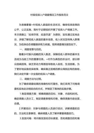 村级低保入户调查情况工作报告范文.docx