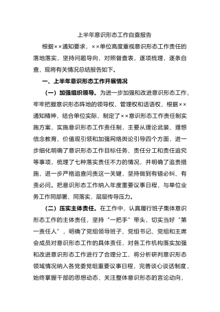 上半年意识形态工作自查报告.docx
