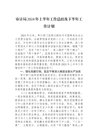 审计局2024年上半年工作总结及下半年工作计划.docx
