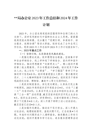 X局办公室2023年工作总结和2024年工作计划.docx