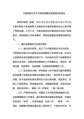 市委保密办关于市委巡察整改进展情况的报告.docx