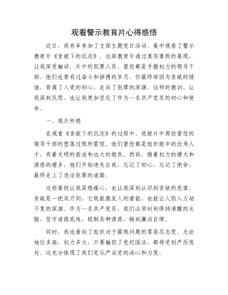 观看警示教育片心得感悟.docx