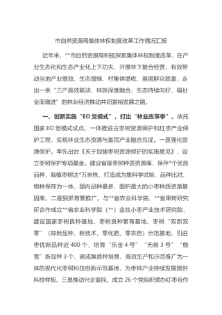 市自然资源局集体林权制度改革工作情况汇报.docx