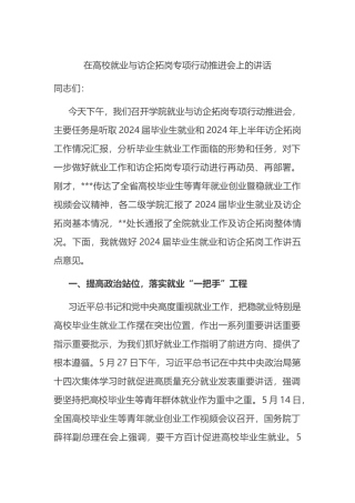 在高校就业与访企拓岗专项行动推进会上的讲话.docx