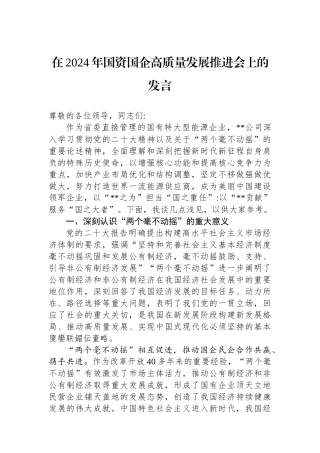在2024年国资国企高质量发展推进会上的发言.docx