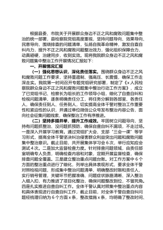检察群众身边不正之风和腐败问题集中整治行动开展情况报告.docx