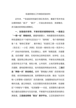 街道网格化工作典型经验材料.docx