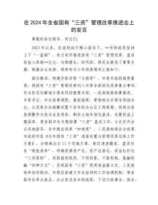 在2024年全省国有“三资”管理改革推进会上的发言.docx