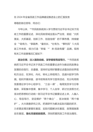 在2024年全省民政工作品牌建设推进会上的汇报发言.docx