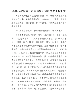 县第五次全国经济普查登记进展情况工作汇报.docx