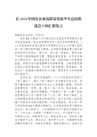 在2024年国有企业高质量发展半年总结推进会上的汇报发言.docx