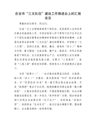 在全市“三支队伍”建设工作推进会上的汇报发言.docx