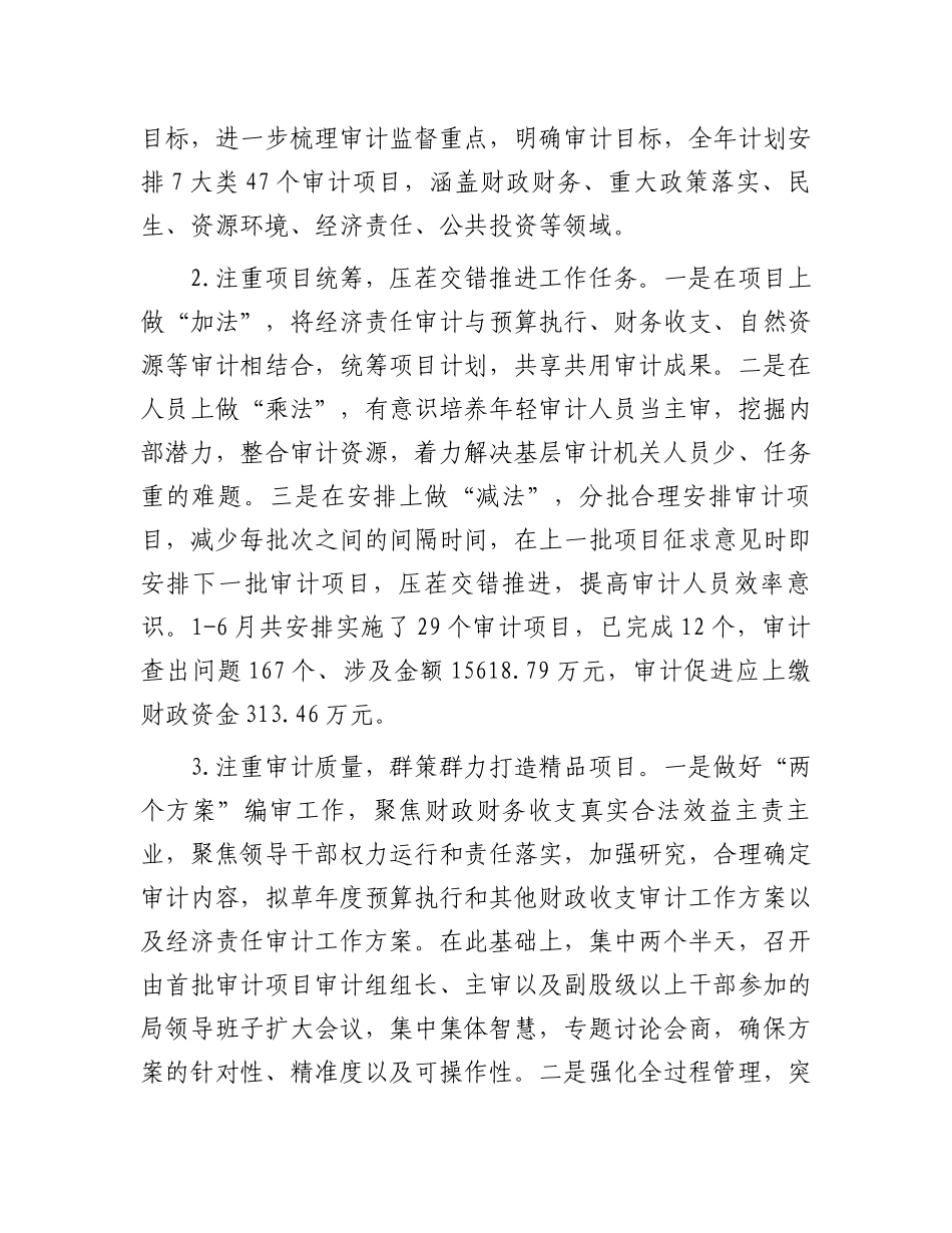 县审计局2024年度上半年工作总结.docx_第2页