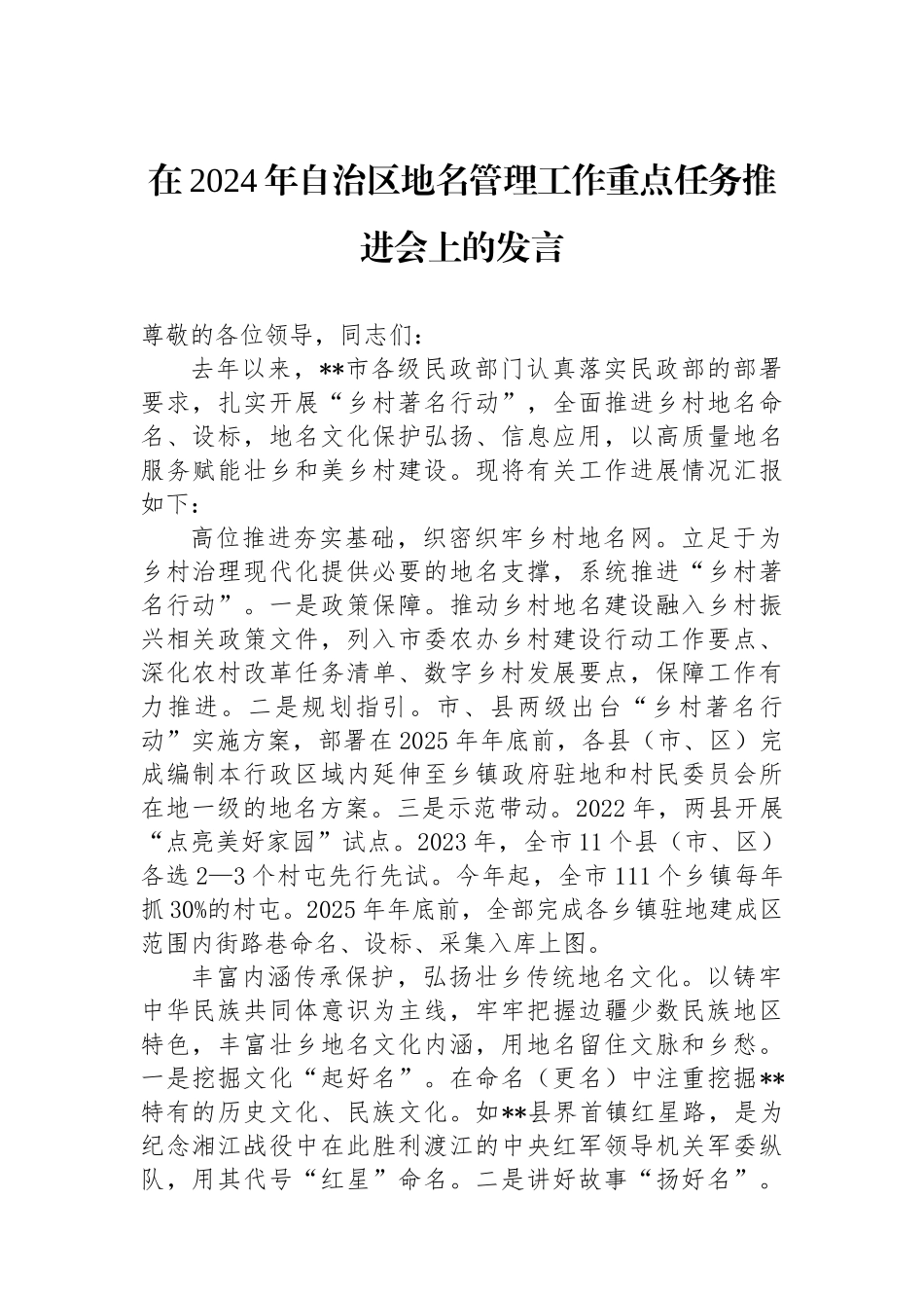在2024年自治区地名管理工作重点任务推进会上的发言.docx_第1页