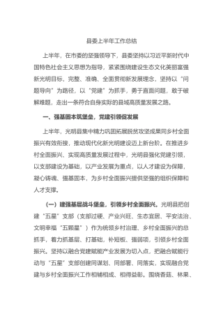 县委上半年工作总结.docx