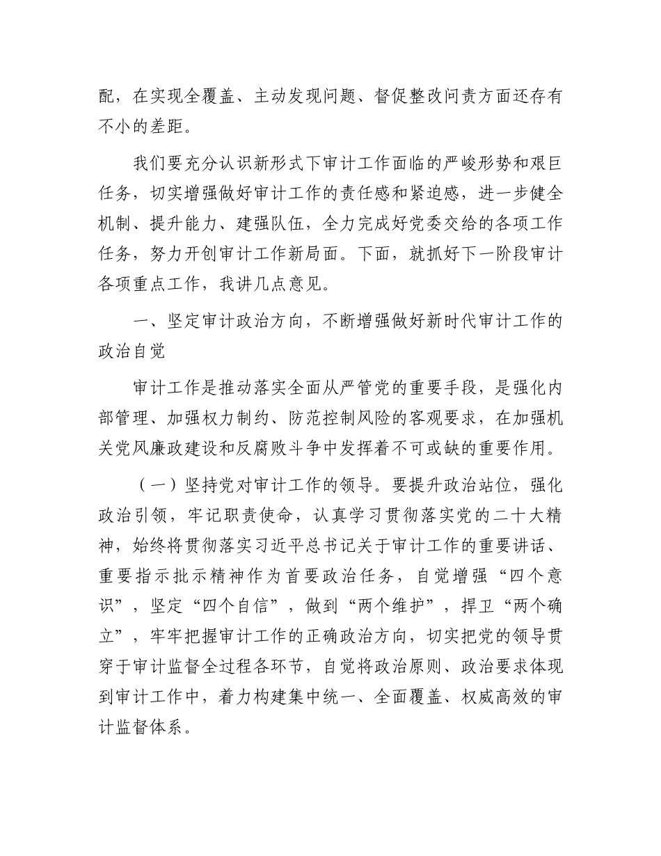 在审计工作会议上的讲话.docx_第3页