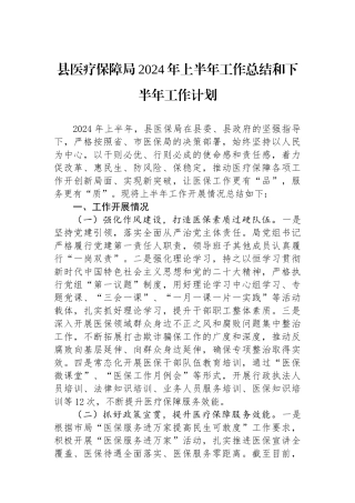 县医疗保障局2024年上半年工作总结和下半年工作计划.docx