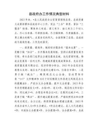 县政府办工作情况典型材料.docx