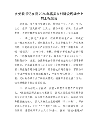 乡党委书记在县2024年富美乡村建设现场会上的汇报发言.docx