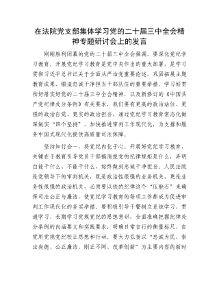 在法院党支部集体学习党的二十届三中全会精神专题研讨会上的发言.docx