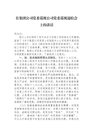 在集团公司党委巡视公司党委巡视迎检会上的讲话.docx
