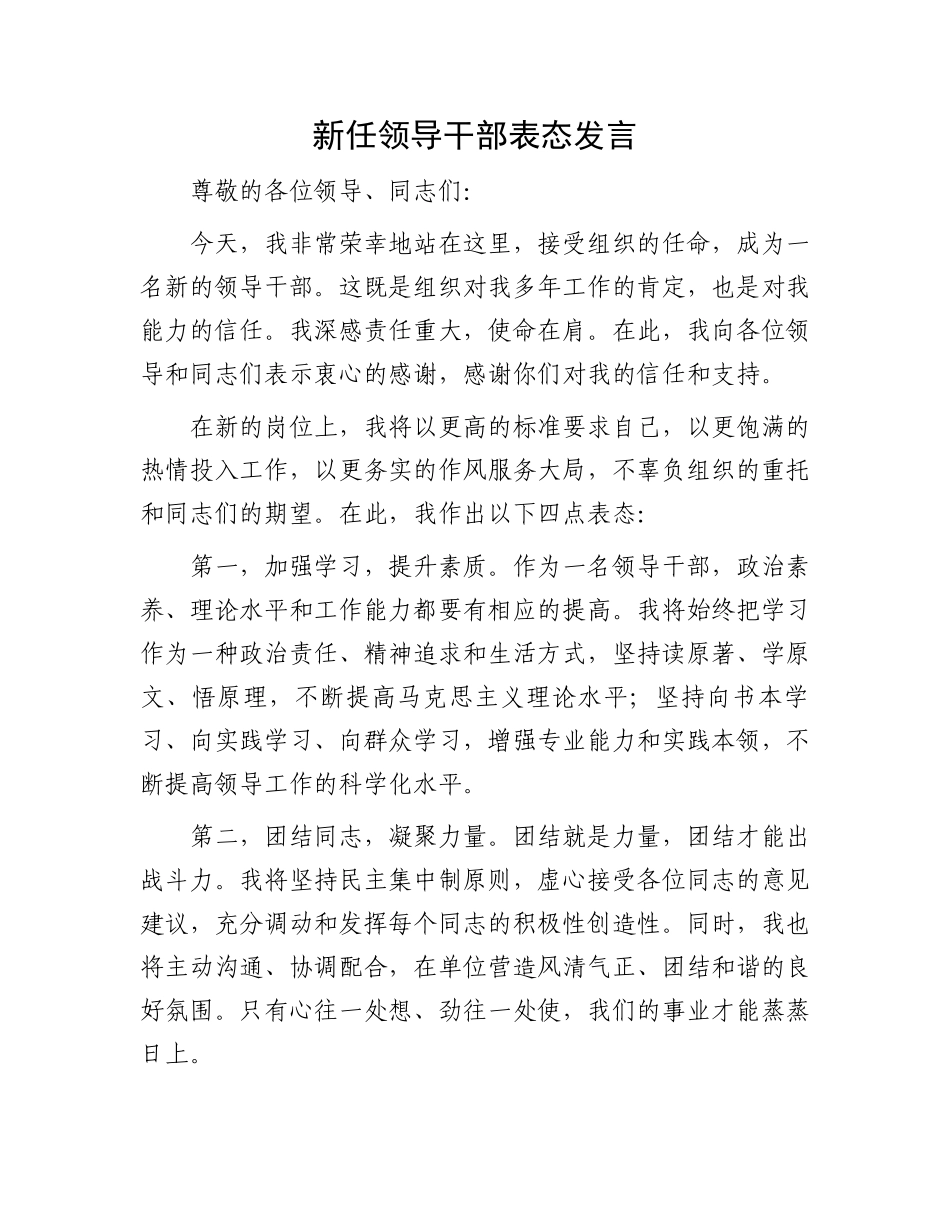 新任领导干部表态发言.docx_第1页