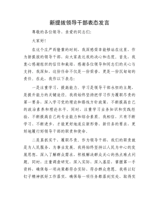 新提拔领导干部表态发言.docx