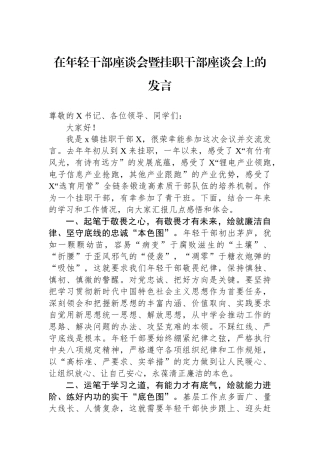 在年轻干部座谈会暨挂职干部座谈会上的发言.docx