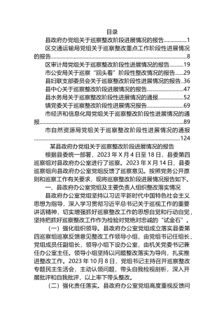 巡察整改阶段进展情况报告汇编（10篇）.docx