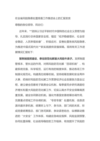 在全省风险隐患处置排查工作推进会上的汇报发言.docx