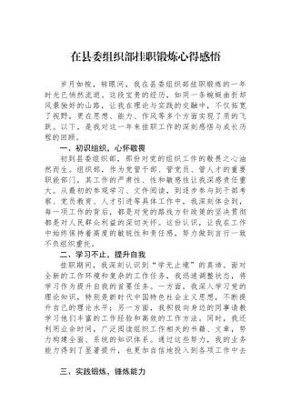 在县委组织部挂职锻炼心得感悟.docx