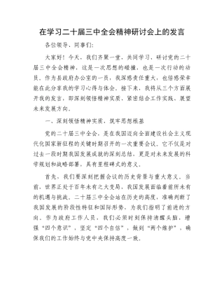 在学习二十届三中全会精神研讨会上的发言.docx