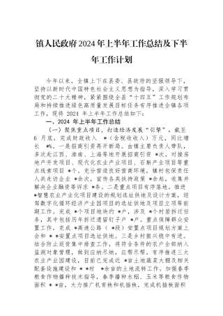 镇人民政府2024年上半年工作总结及下半年工作计划.docx
