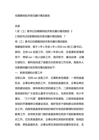 任期期间经济责任履行情况报告（2篇）.docx