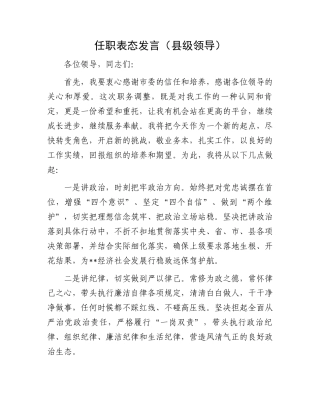任职表态发言（县级领导）.docx