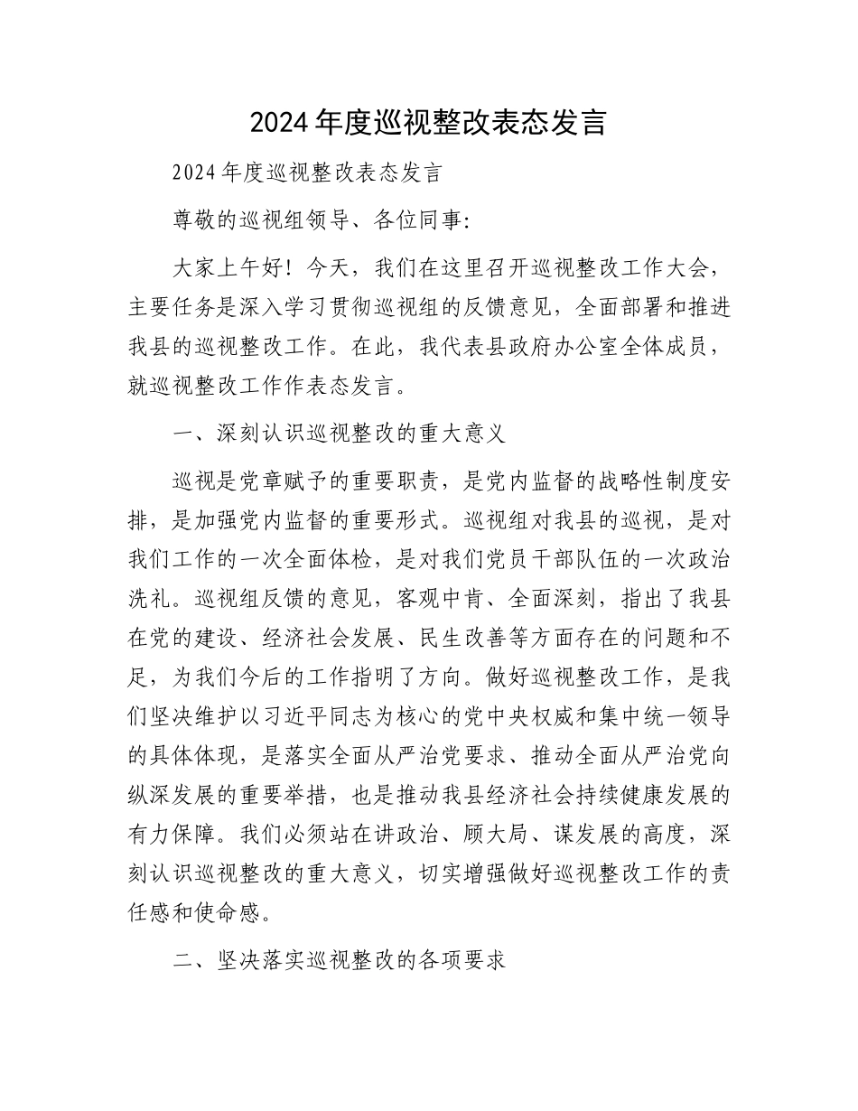 2024年度巡视整改表态发言.docx_第1页
