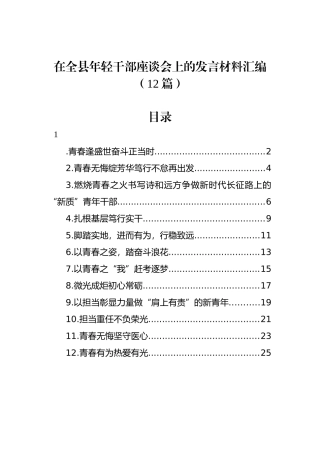 在全县年轻干部座谈会上的发言材料汇编（12篇）.docx