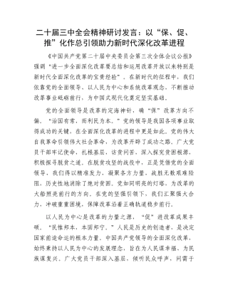 二十届三中全会精神研讨发言：以“保、促、推”化作总引领助力新时代深化改革进程.docx