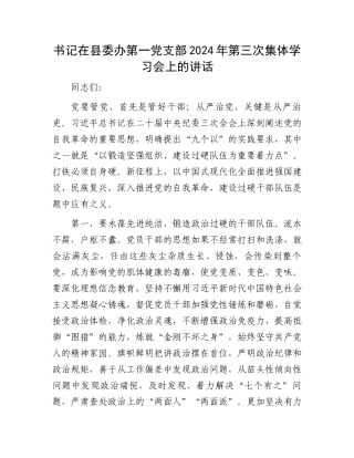 书记在县委办第一党支部2024年第三次集体学习会上的讲话.docx