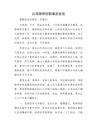 公司领导任职表态发言.docx