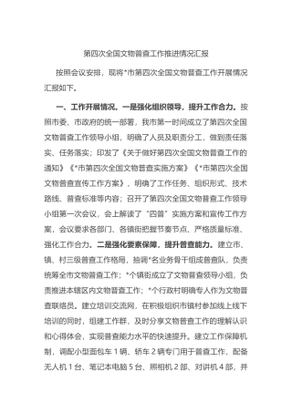 第四次全国文物普查工作推进情况汇报.docx