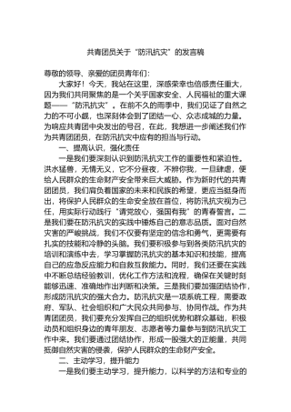 共青团员关于“防汛抗灾”的发言稿.docx