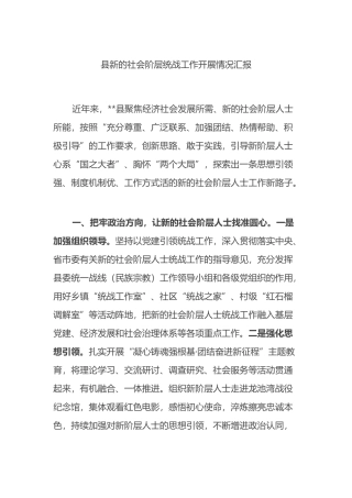 县新的社会阶层统战工作开展情况汇报总结.docx