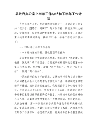县政府办公室上半年工作总结和下半年工作计划.docx