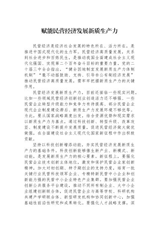 赋能民营经济发展新质生产力.docx