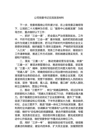 公司党委书记交流发言材料.docx
