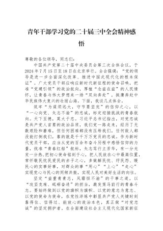青年干部学习党的二十届三中全会精神感悟.docx