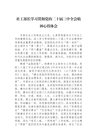社工部长学习贯彻党的二十届三中全会精神心得体会.docx